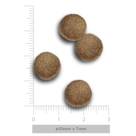 Amanova Dog Puppy Medium Exquisite Chicken - kurczak 12kg-2041638