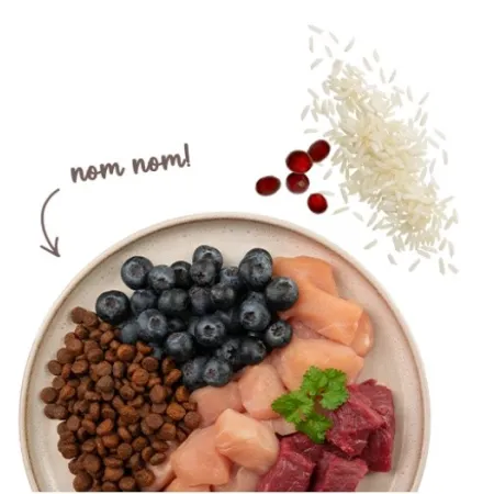 Sanabelle Adult Sensitive Lamb z jagnieciną 8kg-2041675