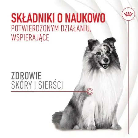 Royal Canin Skin & Coat Chews Adult Supplements 240g-2041695