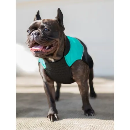 Chaba Ubranko regulowane Wear Magnifique 3XL zielone-2041826