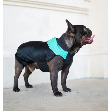 Chaba Ubranko regulowane Wear Magnifique 3XL zielone-2041827