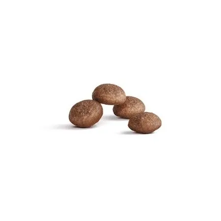 Royal Canin Ageing +11 karma sucha dla kotów dojrzałych 400g-2041945