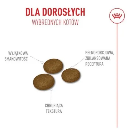 Royal Canin Fussy Exigent karma sucha dla kotów dorosłych, wybrednych 400g-2041976