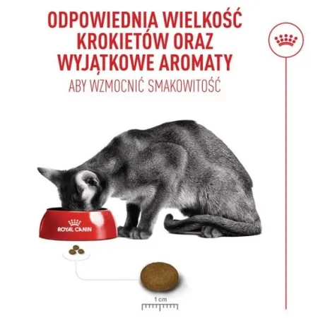 Royal Canin Fussy Exigent karma sucha dla kotów dorosłych, wybrednych 400g-2041977