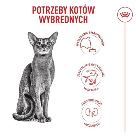 Royal Canin Fussy Exigent karma sucha dla kotów dorosłych, wybrednych 400g-2041978