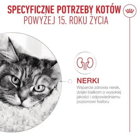 Royal Canin Ageing +15 karma sucha dla kotów dojrzałych 4kg-2041992