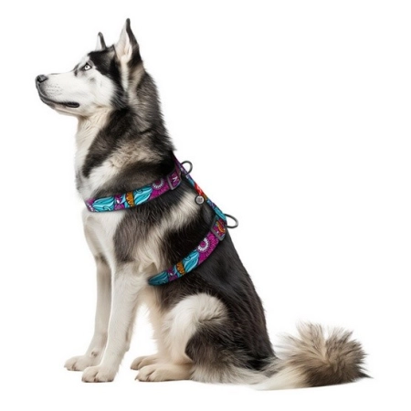 Collar WauDog Nylon Szelki nylonowe anatomiczne w kształcie litery H, z QR-paszportem, plastikowy fastex, wzór LATO, r