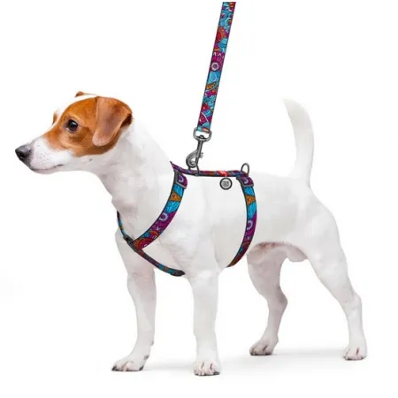 Collar WauDog Nylon Szelki nylonowe anatomiczne w kształcie litery H, z QR-paszportem, plastikowy fastex, wzór LATO, r