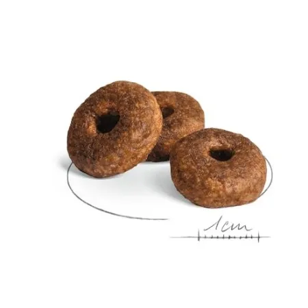 Royal Canin Medium Ageing 10+ karma sucha dla psów starszych, ras średnich 15kg-2044204