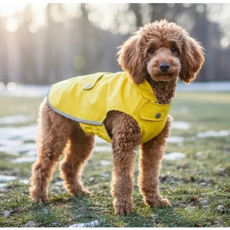 Zolux Kurtka Płaszcz wodoodporna Saint Malo R.30 żółta-2047929