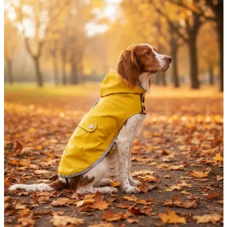 Zolux Kurtka Płaszcz wodoodporna Saint Malo R.35 żółta-2047934