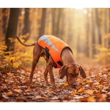 Zolux Kamizelka odblaskowa R.30 pomarańczowa-2048030