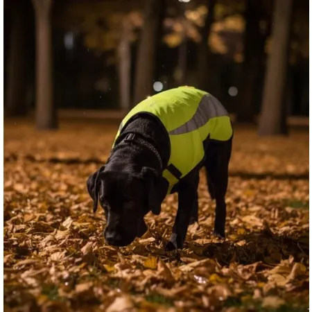 Zolux Kamizelka odblaskowa R.45 żółta-2048090