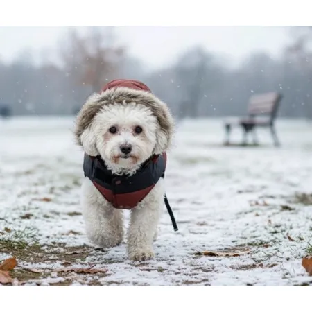 Zolux Kurtka puchowa dla psa New Mountain R.55 ceglasta-2048121