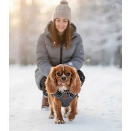 Zolux Kurtka puchowa z szelkami dla psa R.40 szara-2048180