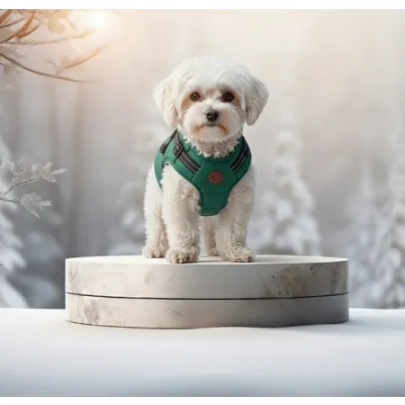 Zolux Kurtka puchowa z szelkami dla psa R.40 niebieska-2048202