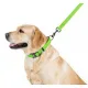 Collar Waterproof Smycz wodoodporna L-XXL 25mm/183cm jasnozielona-2041493