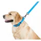 Collar Waterproof Smycz wodoodporna L-XXL 25mm/183cm niebieska-2041497