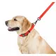 Collar Waterproof Smycz wodoodporna M 20mm/183cm czerwona-2041501