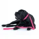 Collar Waterproof Smycz wodoodporna S 15mm/183cm różowa-2041506