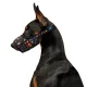 Collar WauDog Nylon Kaganiec, plastikowy fastex, wzór NASA, rozmiar 1 [14-20cm]-2041509