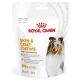 Royal Canin Skin & Coat Chews Adult Supplements 240g