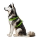 Collar WauDog Nylon Szelki nylonowe anatomiczne w kształcie litery H, z QR-paszportem, plastikowy fastex, wzór AWOKADO