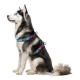 Collar WauDog Nylon Szelki nylonowe anatomiczne w kształcie litery H, z QR-paszportem, plastikowy fastex, wzór LATO, r