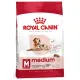 Royal Canin Medium Ageing 10+ karma sucha dla psów starszych, ras średnich 15kg