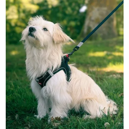 Zolux Szelki oddychające z siatki XS czarne-2056838