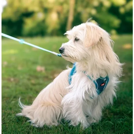 Zolux Szelki oddychające z siatki M turkusowe-2056870