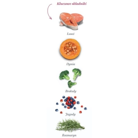Amanova Dog Puppy  Sensitive Salmon Deluxe - łosoś 2kg-2057739