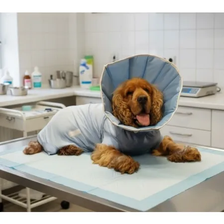 Grande Finale Kołnierz pozabiegowy z tkaniny rozmiar 3 niebieski [WET/KT/3(L)]-2058065