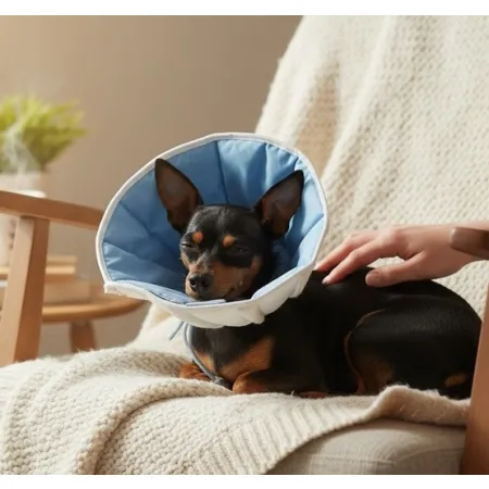 Grande Finale Kołnierz pozabiegowy z tkaniny rozmiar 4 niebieski [WET/KT/4(XL)-2058072