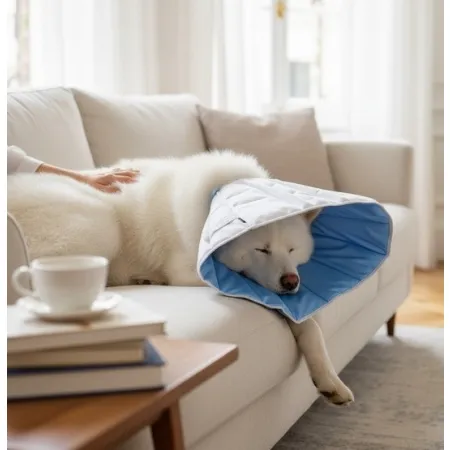 Grande Finale Kołnierz pozabiegowy z tkaniny rozmiar 6 niebieski [WET/KT/6(XXXL)]-2058091