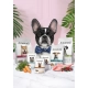 Amanova Dog Adult Mini White Hair Special 7kg-2057758
