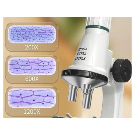 Edukacyjny Mikroskop Stacjonarny Kieszonkowy Lupa Lornetka 3w1 Zabawka Naukowa Przybliżenie Do 1200x-2060189