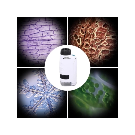 Edukacyjny Mikroskop Stacjonarny Kieszonkowy Lupa Lornetka 3w1 Zabawka Naukowa Przybliżenie Do 1200x-2060196