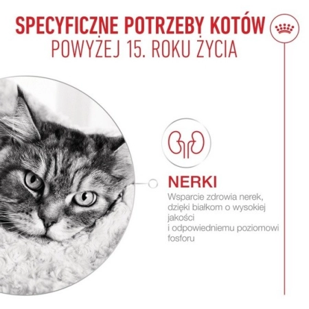 Royal Canin Ageing +15 karma mokra dla kotów dojrzałych w sosie saszetka 85g-2060646