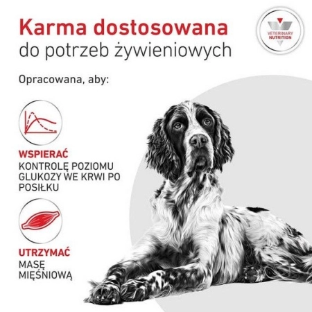 Royal Canin Veterinary Diet Canine Glycobalance Low Carbohydrate Loaf puszka 410g-2060734