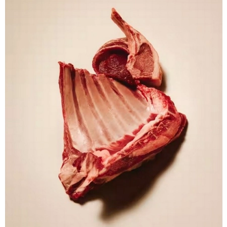 Carnilove Dog Active Lamb & Wild Boar Adult - jagnięcina i dzik 1,5kg-2061210
