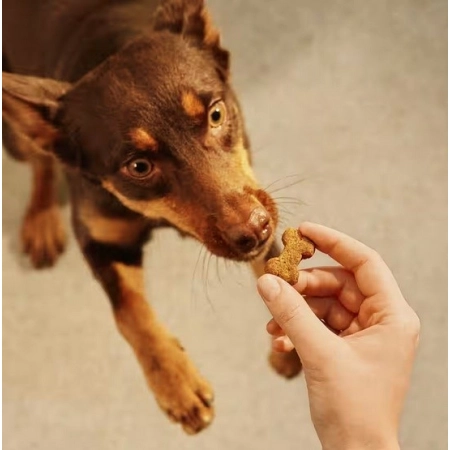Carnilove Dog Crunchy Snack Ostrich 200g-2061935