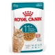 Royal Canin Ageing +11 karma mokra dla kotów dojrzałych w sosie saszetka 85g