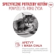 Royal Canin Ageing +15 karma mokra dla kotów dojrzałych w sosie saszetka 85g-2060645