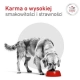 Royal Canin Veterinary Diet Canine Glycobalance Low Carbohydrate Loaf puszka 410g-2060736