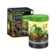 Hodowla Dinozaurów Terrarium Dinozaury Lampka Nocna Led Mini Projektor-2060801