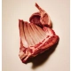 Carnilove Dog Active Lamb & Wild Boar Adult - jagnięcina i dzik 1,5kg-2061210