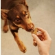 Carnilove Dog Crunchy Snack Ostrich 200g-2061935