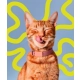 Amanova Cat Creamy Treats Ocean Blend Tuna & Salmon - tuńczyk i łosoś 6x15g-2063030