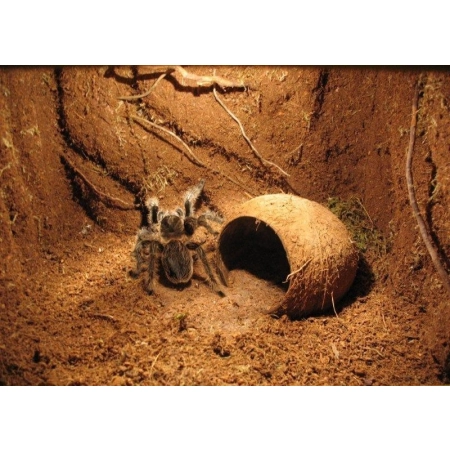 Terrario Nexframe A-Line 20x20x30 - terrarium aluminiowe-2091660